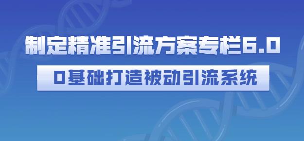 制定精准引流方案专栏6.0，0基础打造被动引流系统云创网-网创项目资源站-副业项目-创业项目-搞钱项目云创网