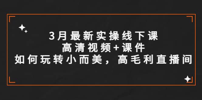 3月最新实操线下课高清视频+课件，如何玩转小而美，高毛利直播间云创网-网创项目资源站-副业项目-创业项目-搞钱项目云创网