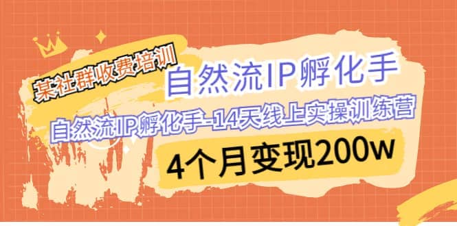 某社群收费培训：自然流IP 孵化手-14天线上实操训练营 4个月变现200w云创网-网创项目资源站-副业项目-创业项目-搞钱项目云创网