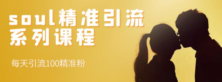 soul精准引流系列课程，每天引流100精准粉云创网-网创项目资源站-副业项目-创业项目-搞钱项目云创网