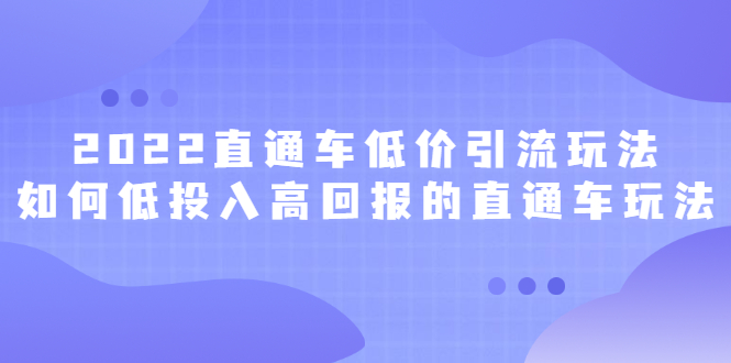 2022直通车低价引流玩法，教大家如何低投入高回报的直通车玩法云创网-网创项目资源站-副业项目-创业项目-搞钱项目云创网