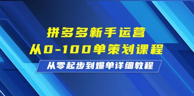 拼多多新手运营从0-100单策划课程，从零起步到爆单详细教程云创网-网创项目资源站-副业项目-创业项目-搞钱项目云创网