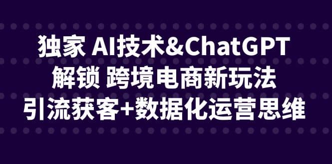 独家 AI技术ChatGPT解锁 跨境电商新玩法，引流获客+数据化运营思维云创网-网创项目资源站-副业项目-创业项目-搞钱项目云创网