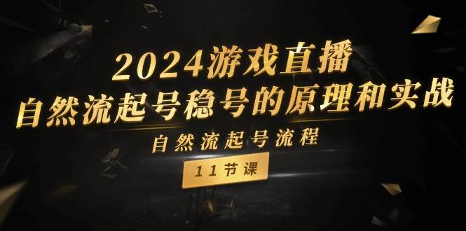 2024游戏直播-自然流起号稳号的原理和实战，自然流起号流程（11节）云创网-网创项目资源站-副业项目-创业项目-搞钱项目云创网