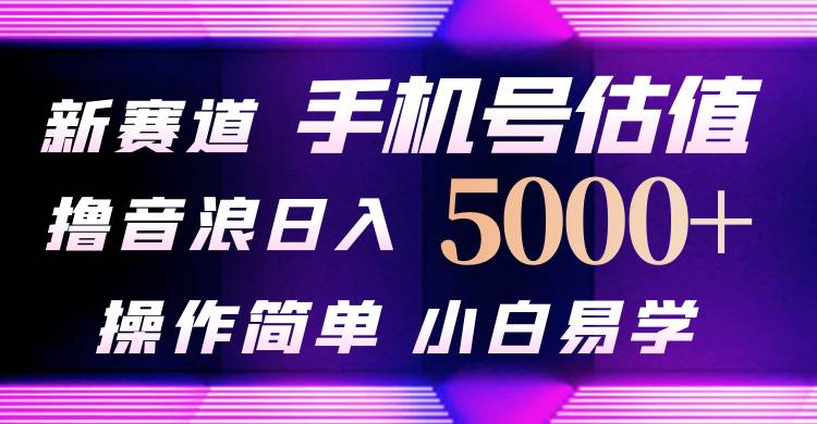 抖音不出境直播【手机号估值】最新撸音浪，日入5000+，简单易学，适合…云创网-网创项目资源站-副业项目-创业项目-搞钱项目云创网