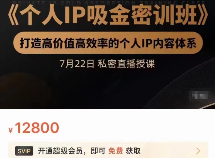 个人IP吸金密训班，打造高价值高效率的个人IP内容体系（价值12800元）云创网-网创项目资源站-副业项目-创业项目-搞钱项目云创网