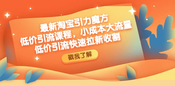 最新淘宝引力魔方低价引流实操：小成本大流量云创网-网创项目资源站-副业项目-创业项目-搞钱项目云创网