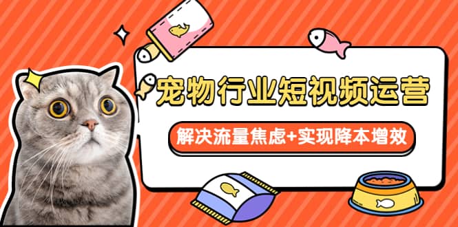 宠物/行业短视频运营 流量增长的一层窗户纸 解决流量焦虑+实现降本增效云创网-网创项目资源站-副业项目-创业项目-搞钱项目云创网