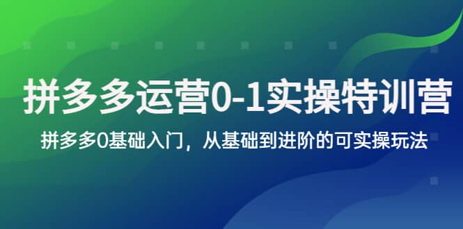 拼多多-运营0-1实操训练营，拼多多0基础入门，从基础到进阶的可实操玩法云创网-网创项目资源站-副业项目-创业项目-搞钱项目云创网
