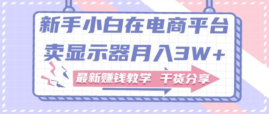 新手小白如何做到在电商平台卖显示器月入3W+，最新赚钱教学干货分享云创网-网创项目资源站-副业项目-创业项目-搞钱项目云创网