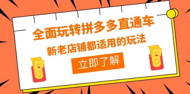 全面玩转拼多多直通车，新老店铺都适用的玩法（12节精华课）云创网-网创项目资源站-副业项目-创业项目-搞钱项目云创网