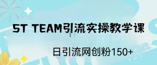 ST TEAM引流实操课，日引流网创粉100+云创网-网创项目资源站-副业项目-创业项目-搞钱项目云创网