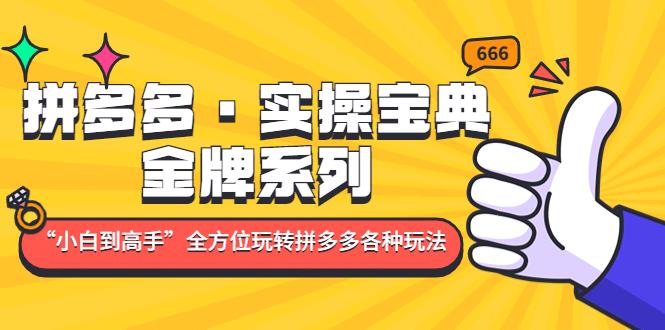 拼多多·实操宝典：金牌系列“小白到高手”带你全方位玩转拼多多各种玩法云创网-网创项目资源站-副业项目-创业项目-搞钱项目云创网
