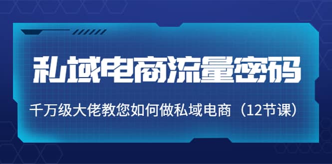 私域电商流量密码：千万级大佬教您如何做私域电商（12节课）云创网-网创项目资源站-副业项目-创业项目-搞钱项目云创网