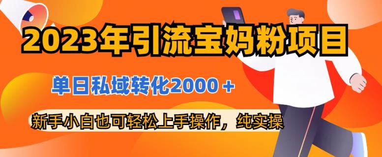 2023年引流宝妈粉项目，单日私域转化2000＋，新手小白也可轻松上手操作，纯实操云创网-网创项目资源站-副业项目-创业项目-搞钱项目云创网