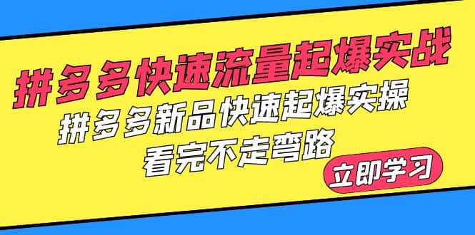 拼多多-快速流量起爆实战，拼多多新品快速起爆实操，看完不走弯路云创网-网创项目资源站-副业项目-创业项目-搞钱项目云创网