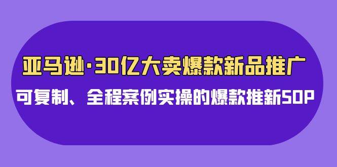 亚马逊30亿·大卖爆款新品推广，可复制、全程案例实操的爆款推新SOP云创网-网创项目资源站-副业项目-创业项目-搞钱项目云创网
