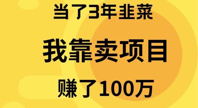 当了3年韭菜，我靠卖项目赚了100万云创网-网创项目资源站-副业项目-创业项目-搞钱项目云创网