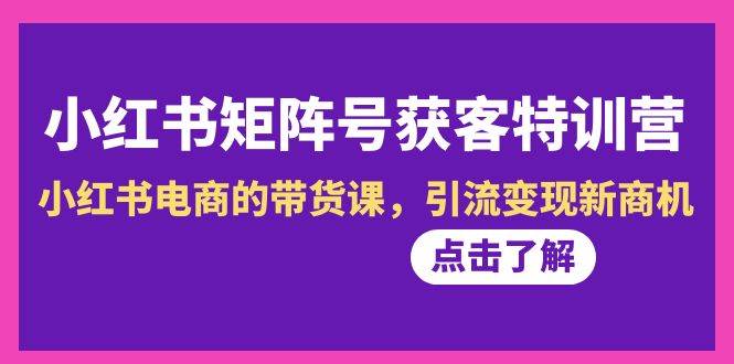 小红书-矩阵号获客特训营-第10期，小红书电商的带货课，引流变现新商机云创网-网创项目资源站-副业项目-创业项目-搞钱项目云创网