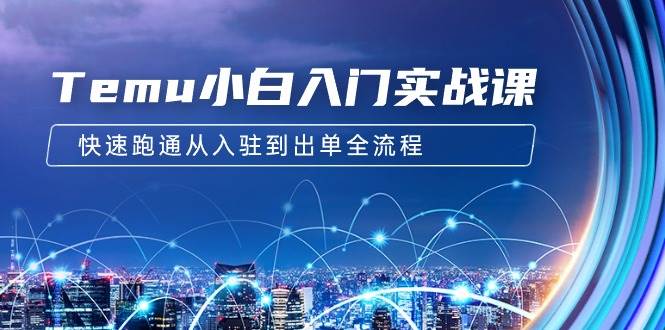 Temu小白入门实战课：跨境拼多多电商培训 快速跑通从入驻到出单全流程-12节云创网-网创项目资源站-副业项目-创业项目-搞钱项目云创网