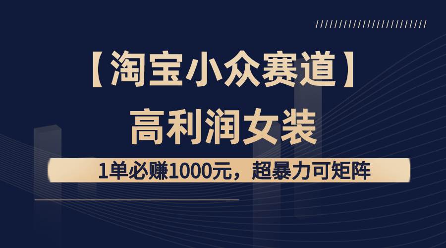 【淘宝小众赛道】高利润女装：1单必赚1000元，超暴力可矩阵云创网-网创项目资源站-副业项目-创业项目-搞钱项目云创网