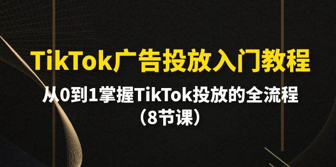 TikTok广告投放入门教程，从0到1掌握TikTok投放的全流程（8节课）云创网-网创项目资源站-副业项目-创业项目-搞钱项目云创网