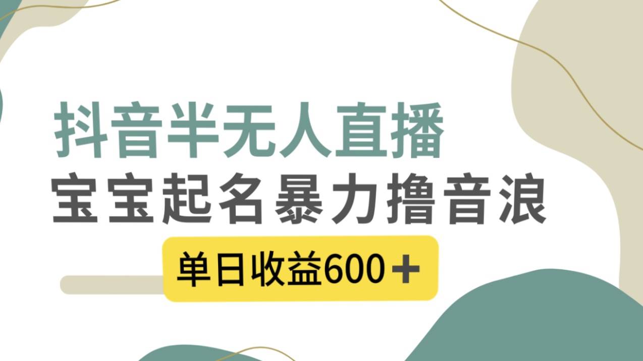抖音半无人直播，宝宝起名，暴力撸音浪，单日收益600+云创网-网创项目资源站-副业项目-创业项目-搞钱项目云创网