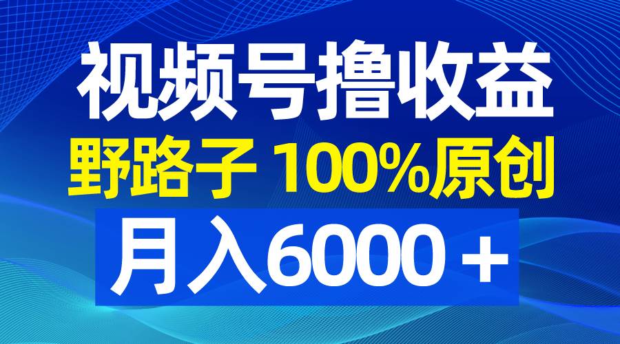 视频号野路子撸收益，100%原创，条条爆款，月入6000＋云创网-网创项目资源站-副业项目-创业项目-搞钱项目云创网