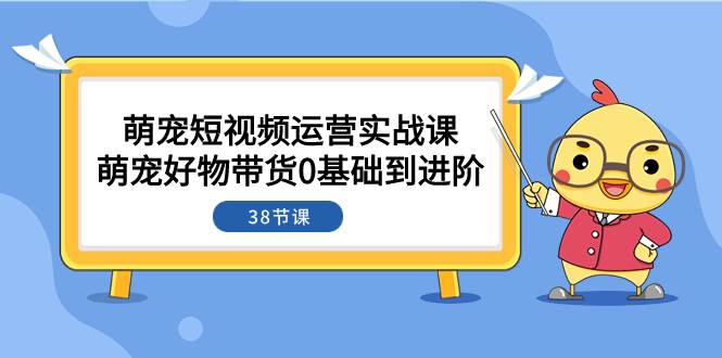 萌宠·短视频运营实战课：萌宠好物带货0基础到进阶（38节课）云创网-网创项目资源站-副业项目-创业项目-搞钱项目云创网