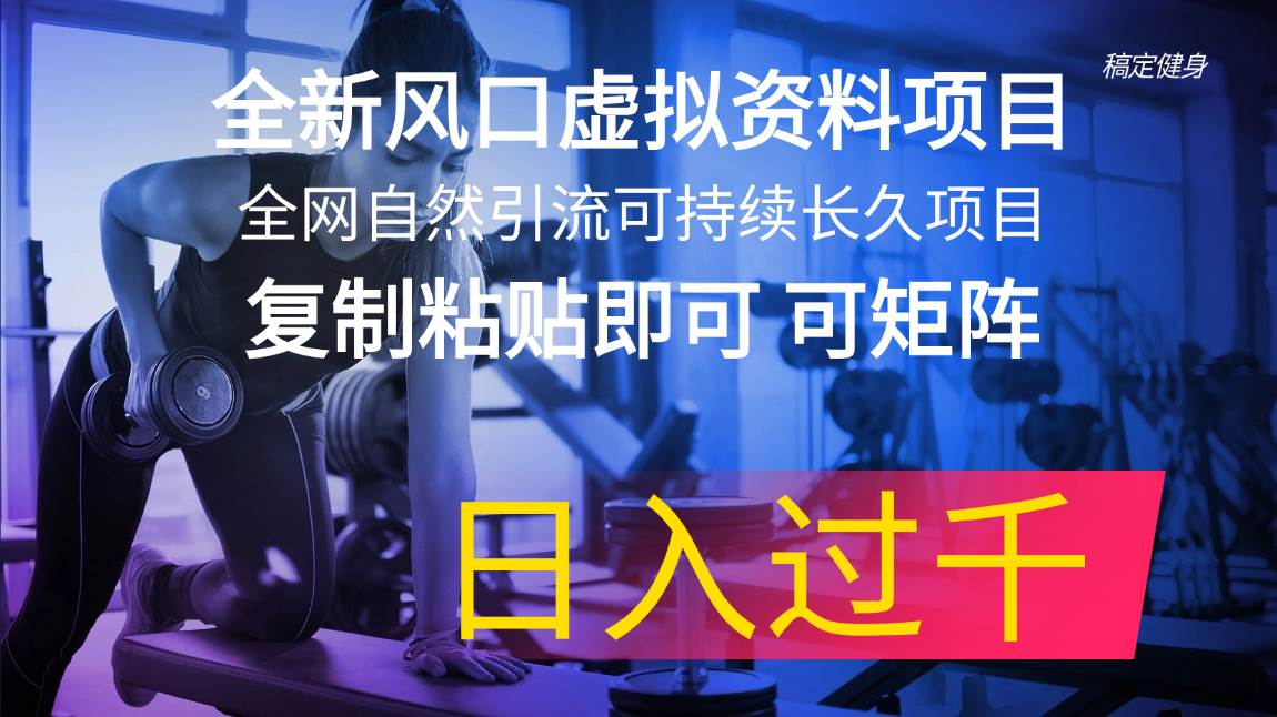 全新风口虚拟资料项目 全网自然引流可持续长久项目 复制粘贴即可可矩阵…云创网-网创项目资源站-副业项目-创业项目-搞钱项目云创网