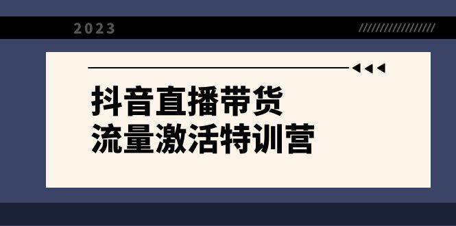 抖音直播带货-流量激活特训营，入行新手小白主播必学（21节课+资料）云创网-网创项目资源站-副业项目-创业项目-搞钱项目云创网