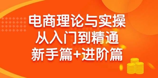电商理论与实操从入门到精通 新手篇+进阶篇云创网-网创项目资源站-副业项目-创业项目-搞钱项目云创网