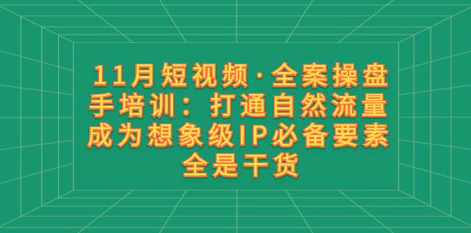 11月短视频·全案操盘手培训：打通自然流量 成为想象级IP必备要素 全是干货云创网-网创项目资源站-副业项目-创业项目-搞钱项目云创网