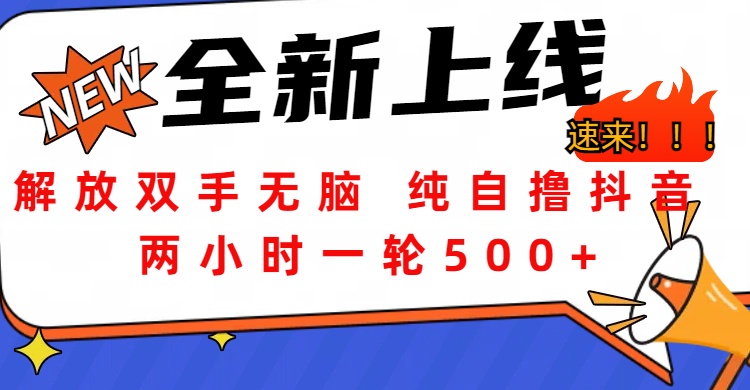 解放双手无脑 纯自撸抖音 两小时一轮500+云创网-网创项目资源站-副业项目-创业项目-搞钱项目云创网