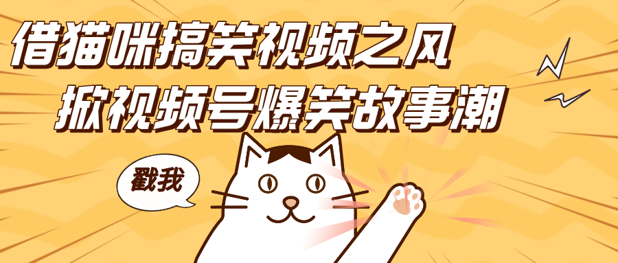 借猫咪搞笑视频之风，掀视频号爆笑故事潮，轻松日赚四位数，开启无门槛赚钱新体验！云创网-网创项目资源站-副业项目-创业项目-搞钱项目云创网