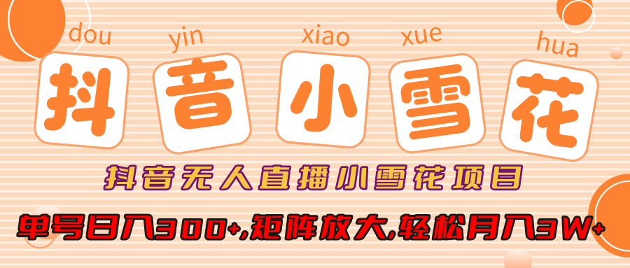 抖音无人直播，小雪花项目，单号日入300+,矩阵放大,轻松月入3W+云创网-网创项目资源站-副业项目-创业项目-搞钱项目云创网