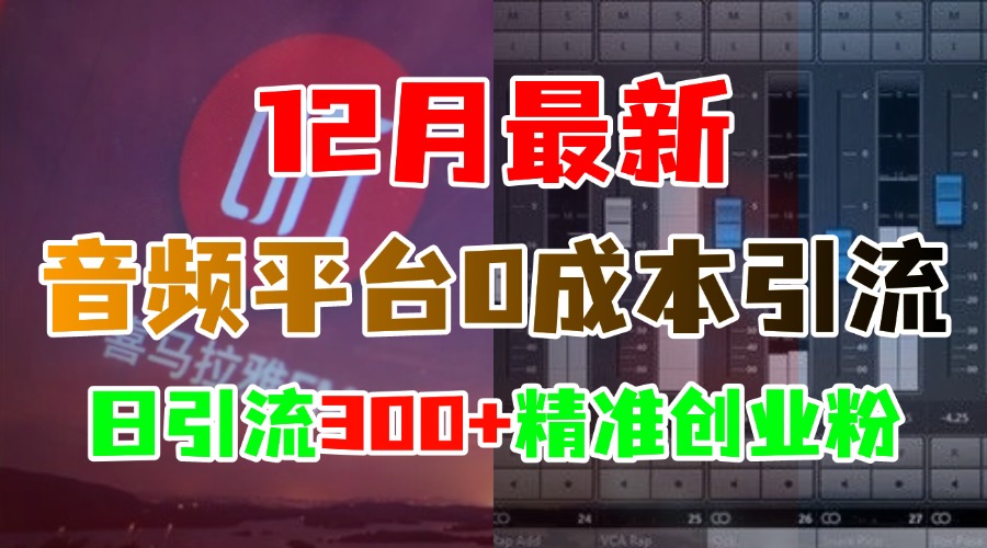 12月最新：音频平台0成本引流，日引300+精准创业粉云创网-网创项目资源站-副业项目-创业项目-搞钱项目云创网
