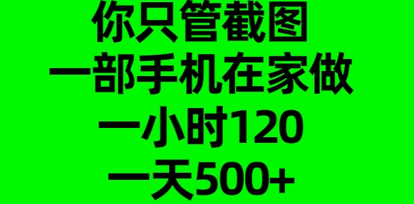 你只管截图，一部手机在家做，一小时120，一天500+云创网-网创项目资源站-副业项目-创业项目-搞钱项目云创网