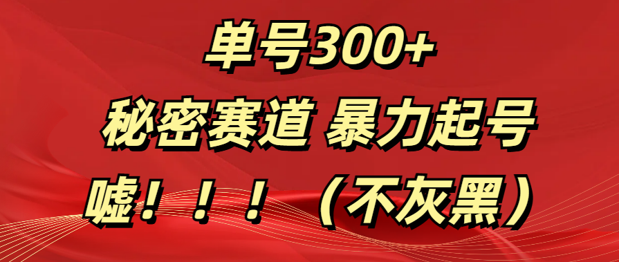 单号300+  秘密赛道 暴力起号  （不灰黑）云创网-网创项目资源站-副业项目-创业项目-搞钱项目云创网
