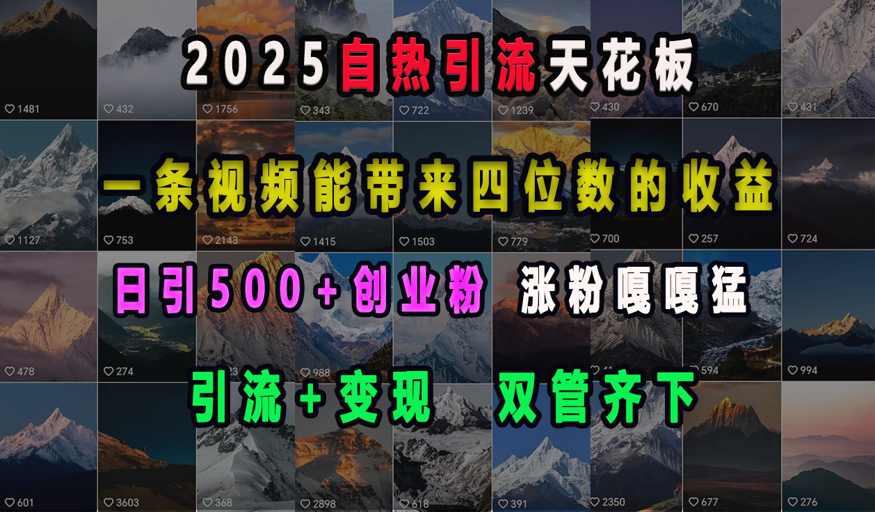 2025自热引流天花板，一条视频能带来四位数的收益，引流+变现双管齐下，日引500+创业粉，涨粉嘎嘎猛云创网-网创项目资源站-副业项目-创业项目-搞钱项目云创网