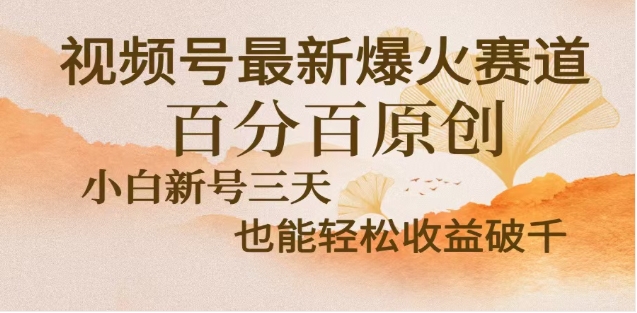 视频号独家玩法，老年养生赛道，无脑搬运爆款视频，日入2000+云创网-网创项目资源站-副业项目-创业项目-搞钱项目云创网