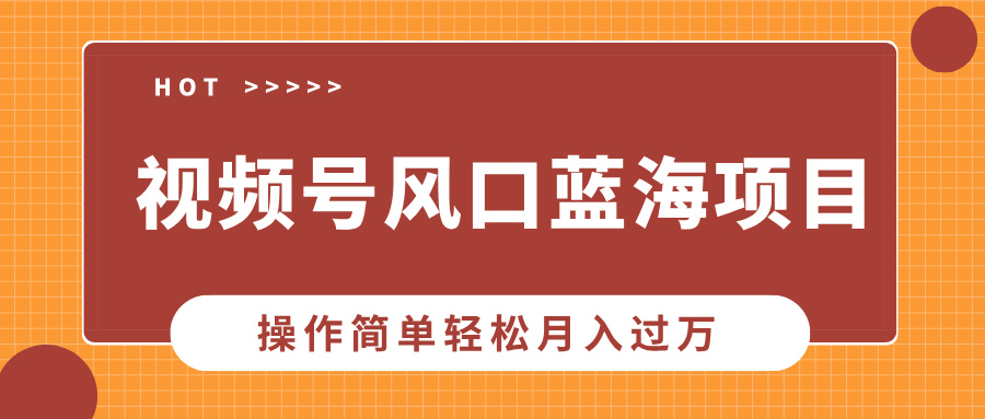 视频号风口蓝海项目，中老年人的流量密码，操作简单轻松月入过万云创网-网创项目资源站-副业项目-创业项目-搞钱项目云创网