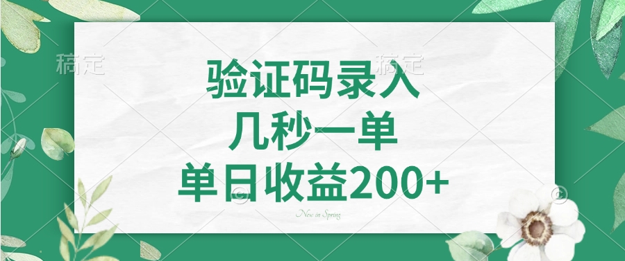 验证码录入，几秒一单，单日收益200+云创网-网创项目资源站-副业项目-创业项目-搞钱项目云创网