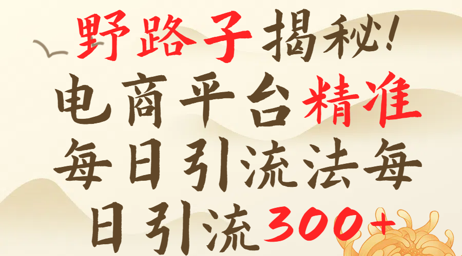 野路子揭秘！电商平台每日引流300＋独家揭秘详细流程！云创网-网创项目资源站-副业项目-创业项目-搞钱项目云创网