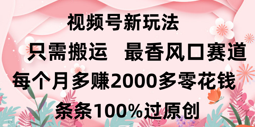 日入2000+，条条100%过原创，视频号最香风口赛道，小白轻松上手云创网-网创项目资源站-副业项目-创业项目-搞钱项目云创网