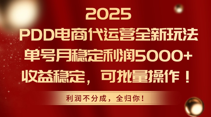 2025 PDD电商代运营全新玩法，单号月稳定利润5000+，收益稳定，可批量操作！云创网-网创项目资源站-副业项目-创业项目-搞钱项目云创网