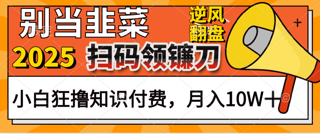 2025别当韭菜！扫码领镰刀！小白狂撸知识付费月入10W+云创网-网创项目资源站-副业项目-创业项目-搞钱项目云创网