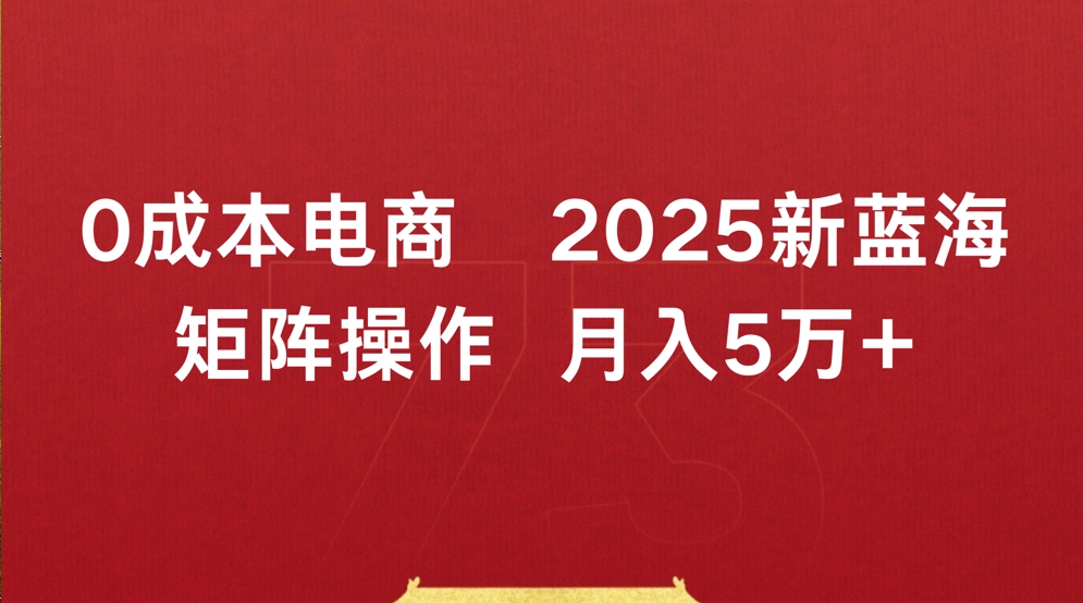 0成本电商2025新蓝海矩阵操作 月入5万+云创网-网创项目资源站-副业项目-创业项目-搞钱项目云创网
