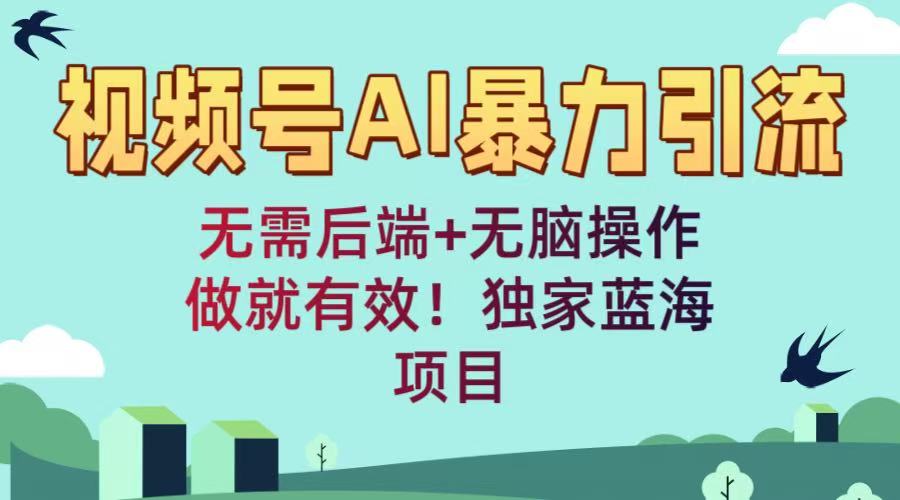 视频号AI暴力引流：无需后端+无脑操作，做就有效！独家蓝海项目云创网-网创项目资源站-副业项目-创业项目-搞钱项目云创网