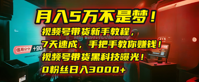 月入5万不是梦！视频号带货新手教程，7天速成，手把手教你赚钱！视频号带货黑科技曝光！0粉丝日入3000+云创网-网创项目资源站-副业项目-创业项目-搞钱项目云创网
